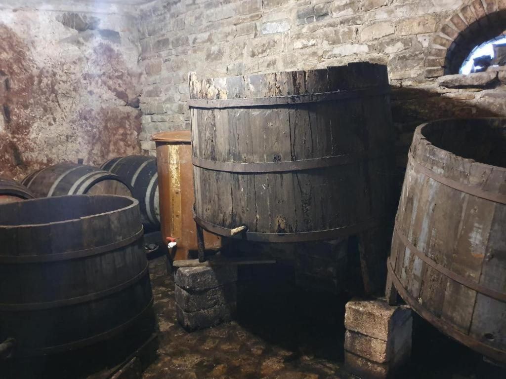 Agriturismo Radici Contadine Bisaccia エクステリア 写真